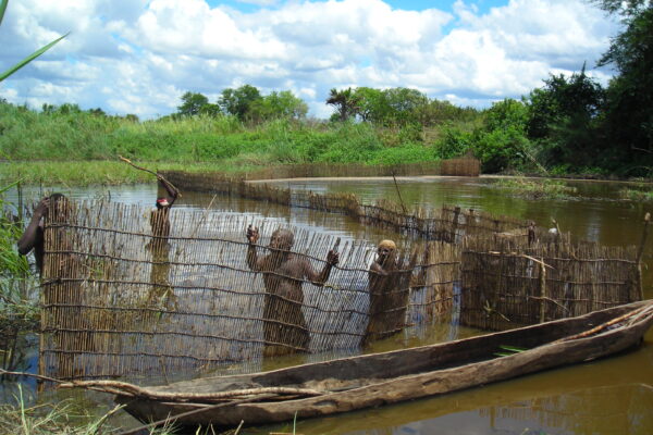 Material culture of traditional fishers on the Rufiji River floodplain, Tanzania