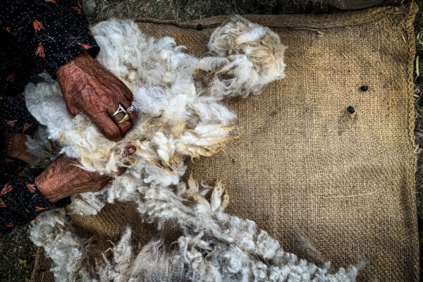 Documenting endangered knowledge of making Chitrali shu (handwoven woollen cloth) in Chitral, Northwest Pakistan