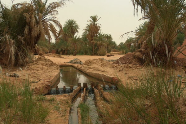 Foggaras: Water production in the Adrar palm grove oases (Sahara, Algeria)