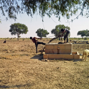 Rejwani beris are shallow groundwater systems which allow water to be drawn by individuals, Jaisalmer district, India, 2013 (Photo: Gargi Joshi)