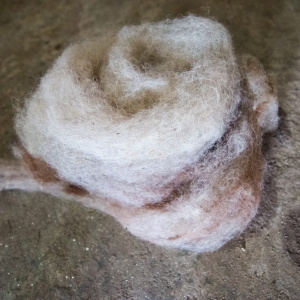 Carded and rolled Shu wool. (Photo: Camille Delbos)