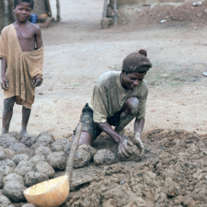 Akwasi Nyua Tonyaa of Dompofie shapes balls of earthen material in preparation for building an atakpame wall while son Wayo Fordjour looks on, 1982. (Photo: Ann B. Stahl)