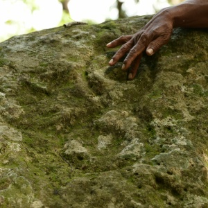 Mr Higino's hand in the Ponta do Iaçá (Photo: Raoni Valle)