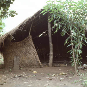 Farm shelter with mat walls and thatched roof, Banda area, 1982. (Photo: Ann B. Stahl)
