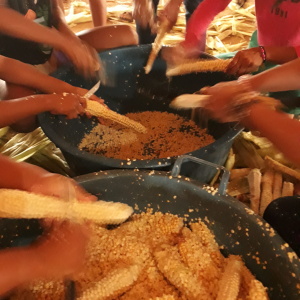 Tenharin girls preparing corn (Photo: Karen Shiratori)