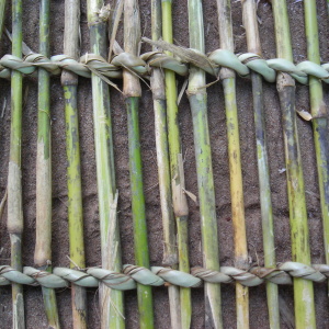 A close-up view of reeds woven with milala palm frond into a fish fencing panel. (Photo: Marie-Annick Moreau)