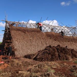 Community members building a new Ceremonial House (Oga Pysy) in Laranjeira Nhanderu (Photo: Fabiana Fernandes)