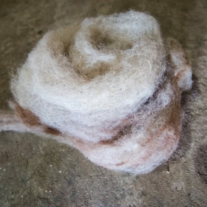Carded and rolled Shu wool. (Photo: Camille Delbos)
