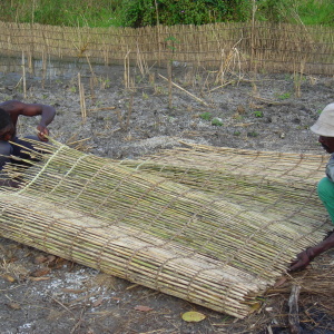 Men checking for gaps in a panel of their fishing fence before setting it in the water. (Photo: Marie-Annick Moreau)