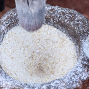 Sacred white corn is ground in preparation for the Jerosy Puku ritual, which is held inside the Oga Pysy (Photo: Fabiana Fernandes)