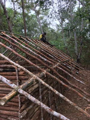 Warama Kurupel building a yam house (Photo: Catherine Scanlon)