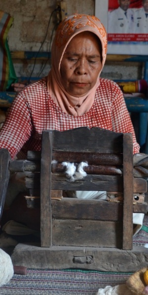 Ginning cotton or removing seeds from raw cotton with a gin. Ternate Island, Alor Regency, Indonesia (Photo: L. S McIntosh)