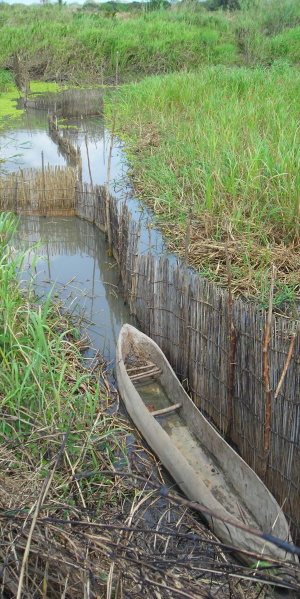 A dugout canoe alongside a fish fence on the Rufiji River floodplain. (Photo: Marie-Annick Moreau)