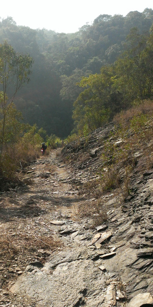 The road at a quarry site in Payuman. (Photo: Malaic Tjuveleljem)
