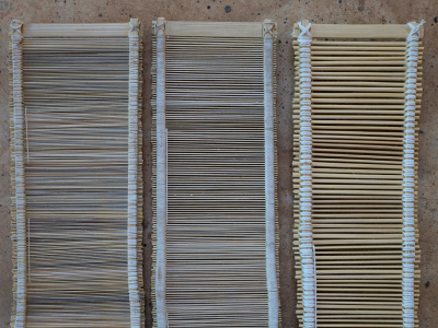 Three reeds compared, back side. Photo: Sasicha Srijanchom