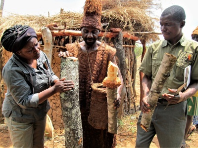 Bark cloth maker Mr Patrick Chanda discussing the EMKP bark cloth project with Perrice Nkombe and Stephen Mwila of the Moto Moto Museum  (Photo: Copyright Moto Moto Museum)