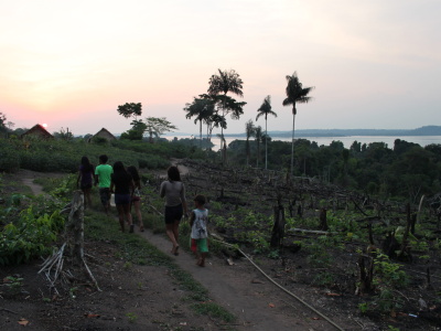Path to nearby stream at Sawre Muybu village, Sawre Muybu Indigenous Land. Photo: Bruna Rocha
