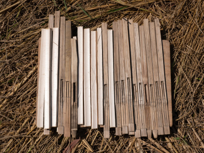 Unfinished Angkuoch Russey instruments (bamboo Jew’s harps), put out to dry in the sun by CHI Monivong. (Photo: Catherine Grant, 6 January 2020)  •  អង្កួចឬស្សីដែលហាលថ្ងៃដោយលោក ជី មុនីវង់។ ​រូបថតដោយ៖ ខាត់ធឺរីន ហ្ក្រាន, ថ្ងៃទី ០៦ ខែមករា ឆ្នាំ២០២០​។