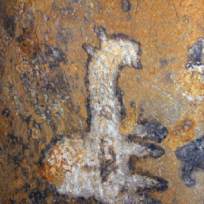 Camel Rock Art of Somaliland (Depiction of a Camel).