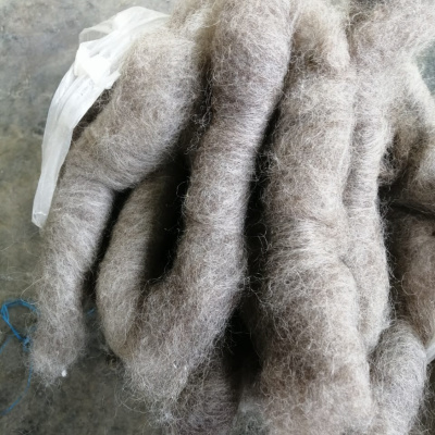 Carded and rolled wool. (Photo: Pshtiwan Jola)