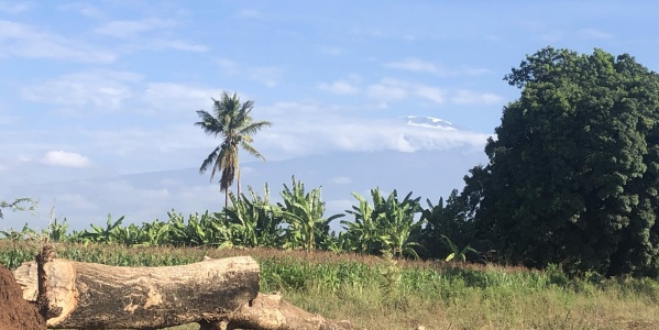 Kilimanjaro Landscape from Kilema (Photo: Valence Silayo)