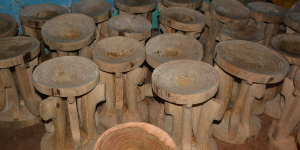 Semi-processed tripod stools stored for drying purposes (Photo: Jira Choroke)