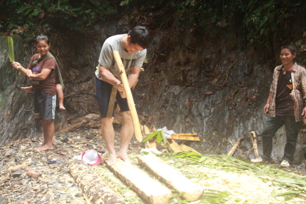 Working a sago palm trunk with a wooden adze, Ba’ Temeron. Photo: Jayl Langub