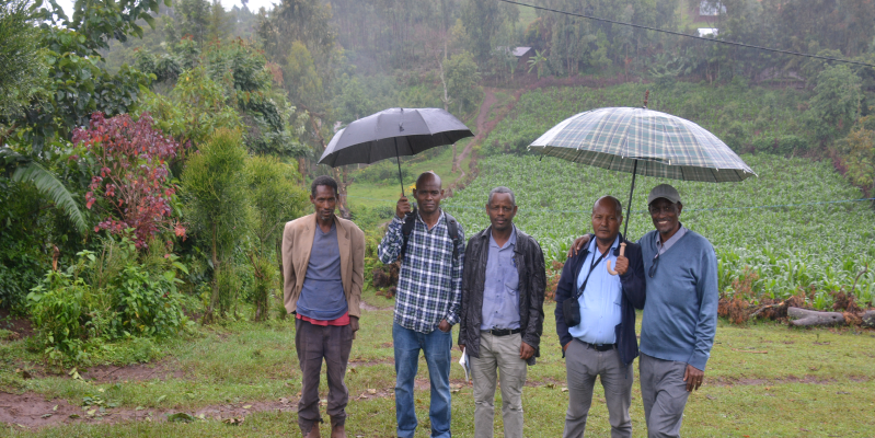Project Team Biographies. (Right to left) Jira Choroke, Zerihun Kebebew, Melkamu Dumessa, Bikila Ashenafi and a villager (Photo: Ahmed Abba Jabal)