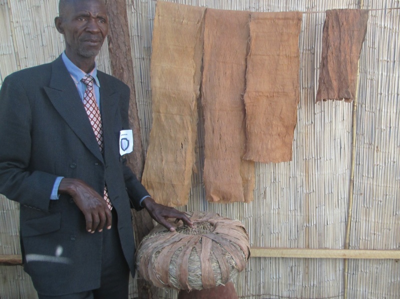 Mr John Mukopa, Mungwi District, is one of the few remaining makers of fine textured bark cloth for ceremonial purposes. (Photo: Perrice Nkombwe)
